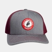BONE TRUCKER CINZA E VINHO, LOGO EMBORRACHADA